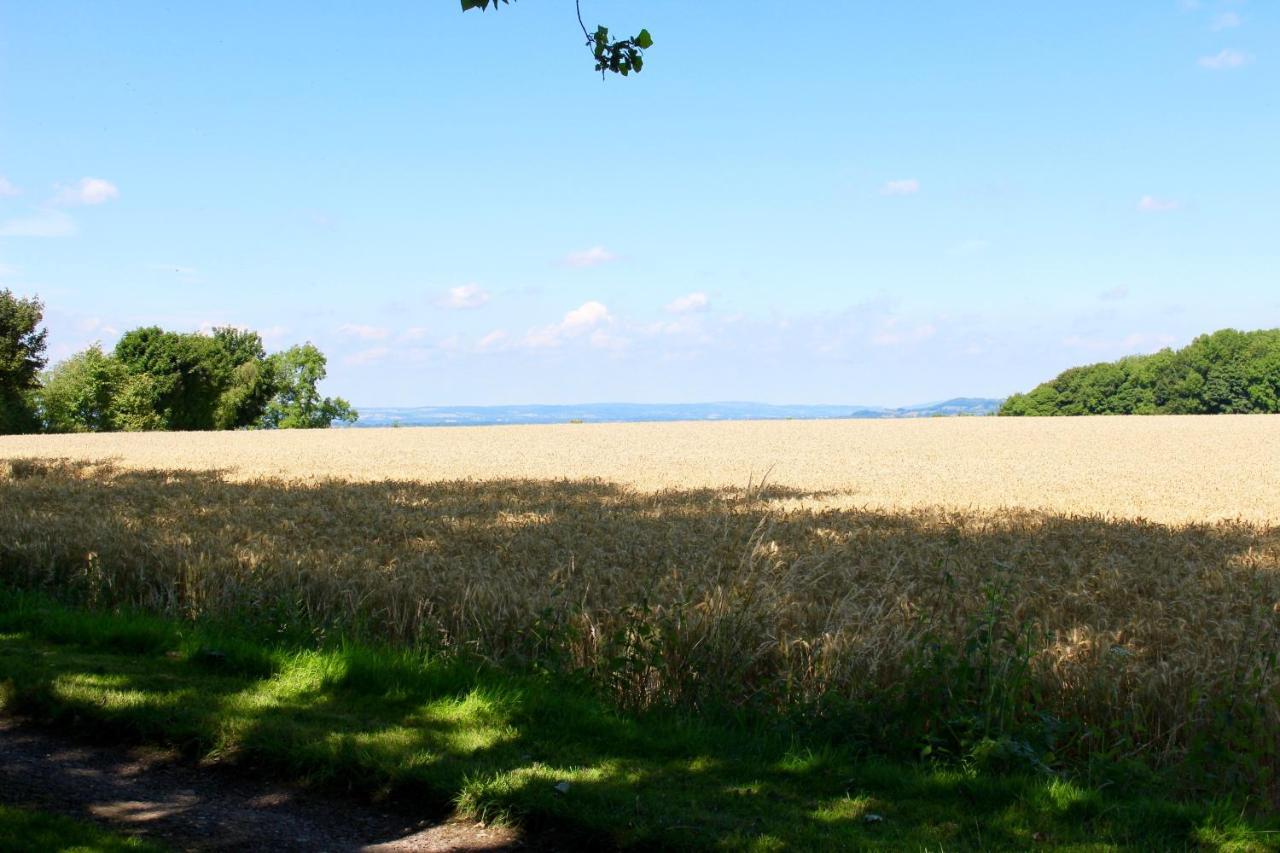 Woodcock Farm Lejlighed Bristol Eksteriør billede
