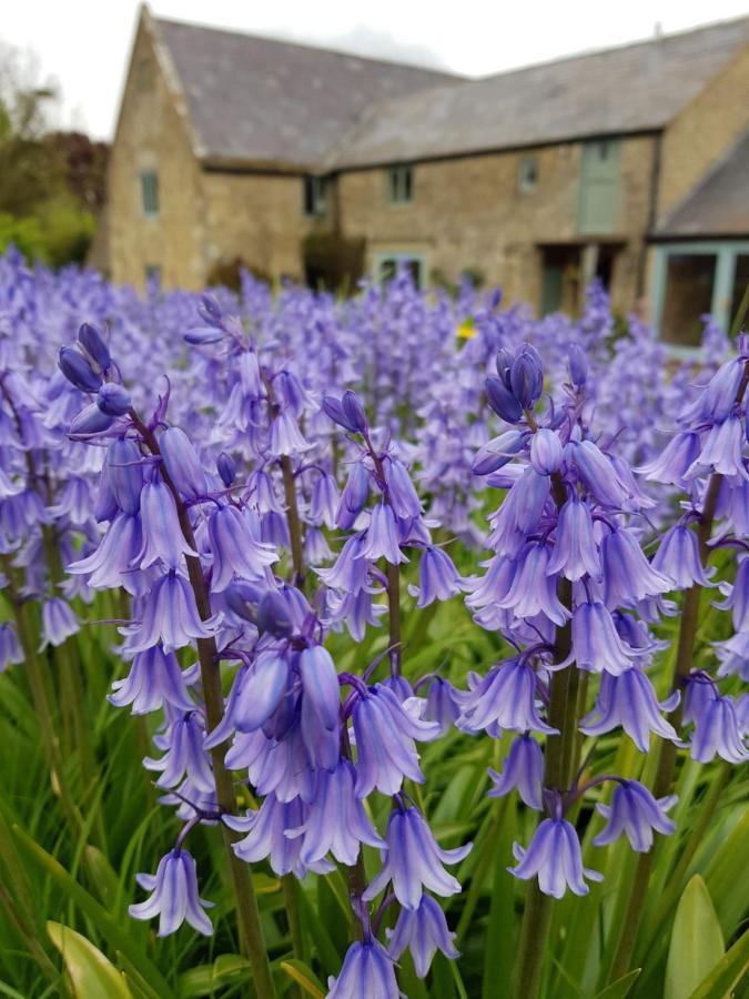 Woodcock Farm Lejlighed Bristol Eksteriør billede