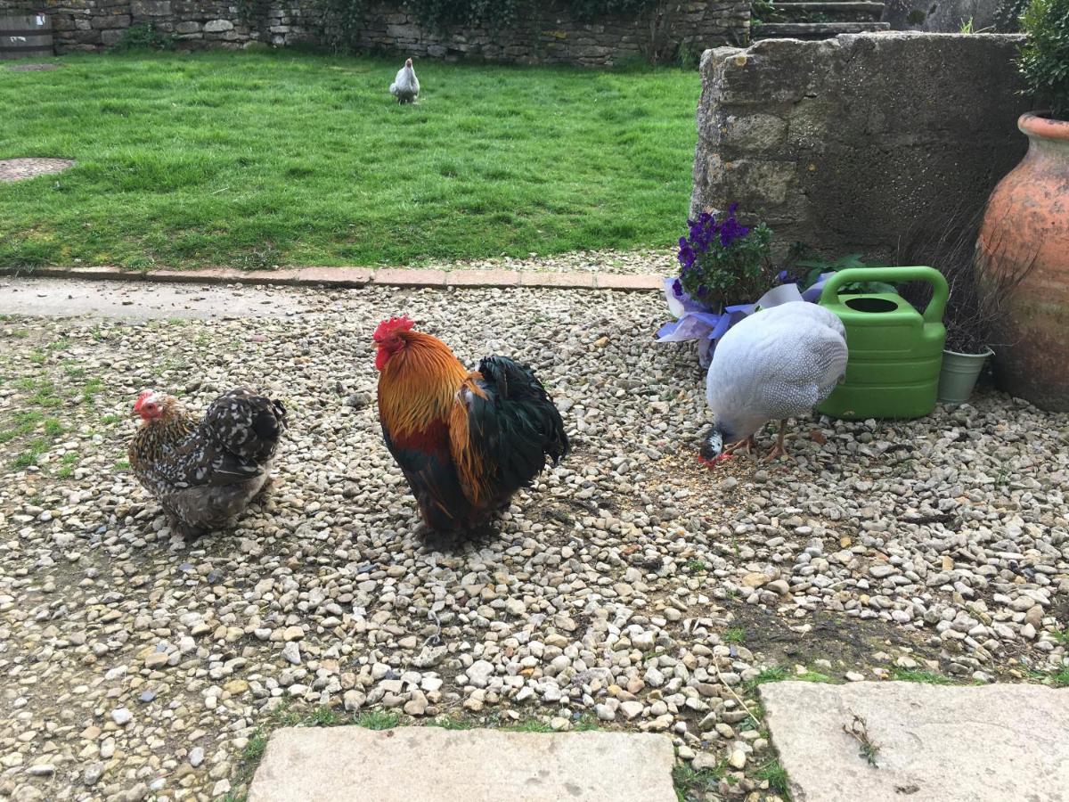 Woodcock Farm Lejlighed Bristol Eksteriør billede