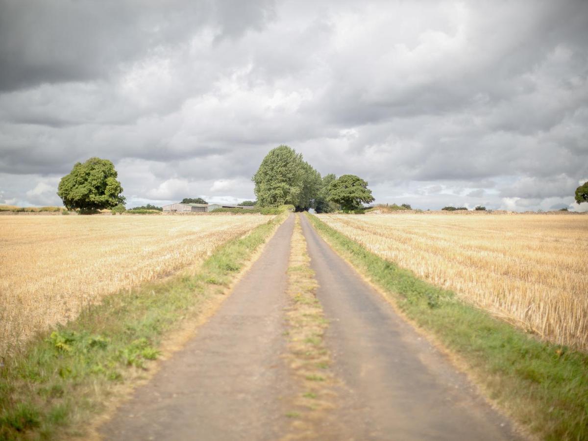 Woodcock Farm Lejlighed Bristol Eksteriør billede